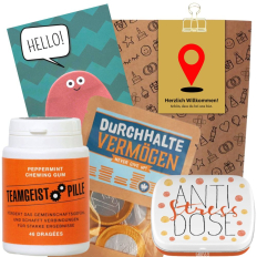 Geschenktüte Onboarding – Willkommensgeschenk  „Zielpunkt“ (Set 9)